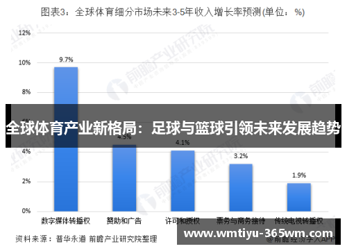 全球体育产业新格局：足球与篮球引领未来发展趋势