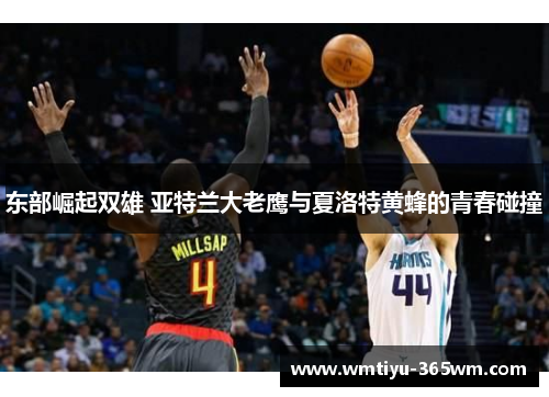 东部崛起双雄 亚特兰大老鹰与夏洛特黄蜂的青春碰撞