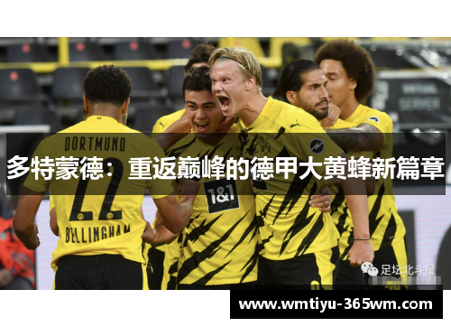 多特蒙德：重返巅峰的德甲大黄蜂新篇章