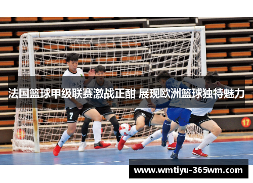 法国篮球甲级联赛激战正酣 展现欧洲篮球独特魅力