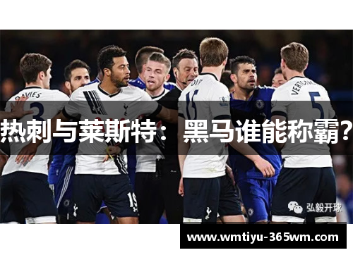 热刺与莱斯特：黑马谁能称霸？