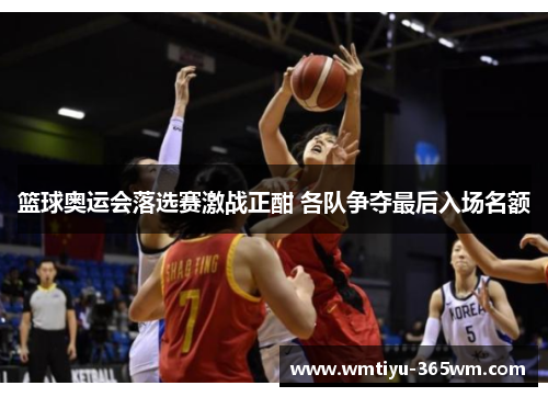 篮球奥运会落选赛激战正酣 各队争夺最后入场名额